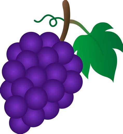 Bunch of grapes clipart - Clipground