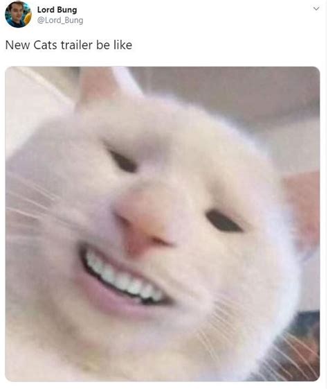 Cat With Human Teeth