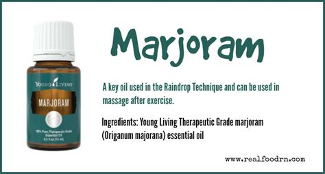 Marjoram Essential Oil | Real Food RN