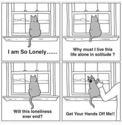 sarcasm cat is lonely but hates you - Meme by Rebelrachel93 :) Memedroid