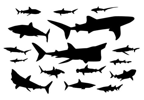 Whale Shark Silhouette at GetDrawings | Free download