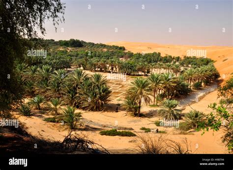 Desert Oasis Stock Photo - Alamy