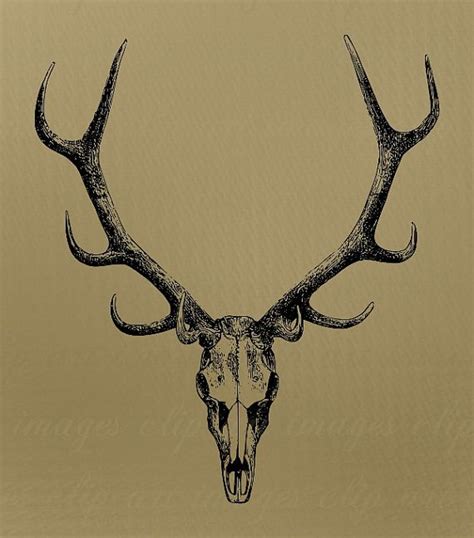 DIY Uncle Buck P | Elk skull, Deer skull tattoos, Antler tattoo