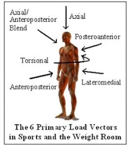 Force Vectors and Their Importance in Sport Specific Programming By Kyle O?Toole - ELITETRACK