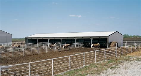 Richard's Cattle Barn | Morton Buildings Cattle Housing, Cattle Farming ...