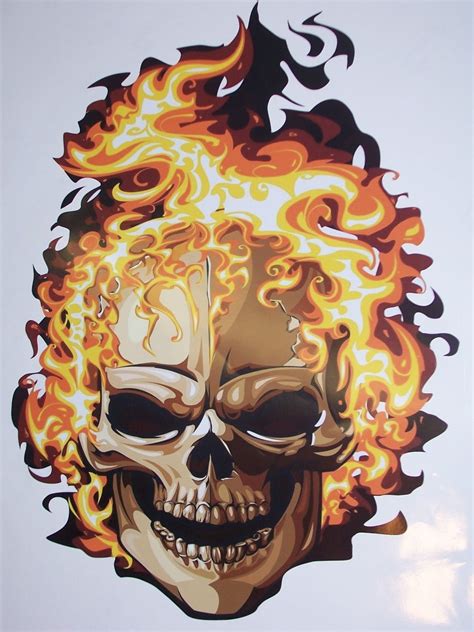 Skull flames FULL COLOR Car or Truck Window Decal Decals Sticker Skulls Graphic on eBid United ...