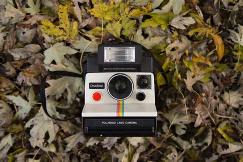 Retro Finds: My Top Vintage Polaroid Cameras for 2024