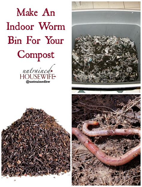 Make an Indoor Worm Compost