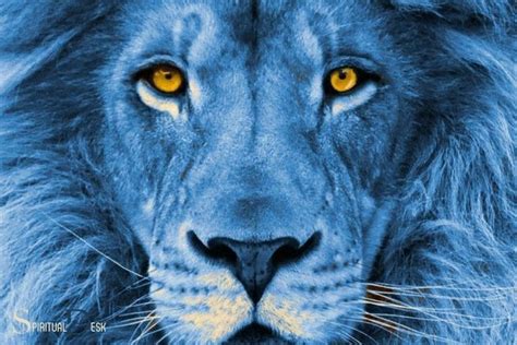 Blue Lion Spiritual Meaning: Wisdom, Strength!