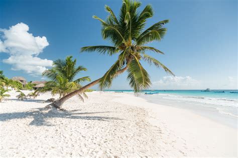 7 of Mexico's Best White-Sand Beaches | White sand beach, Tulum, Mexico