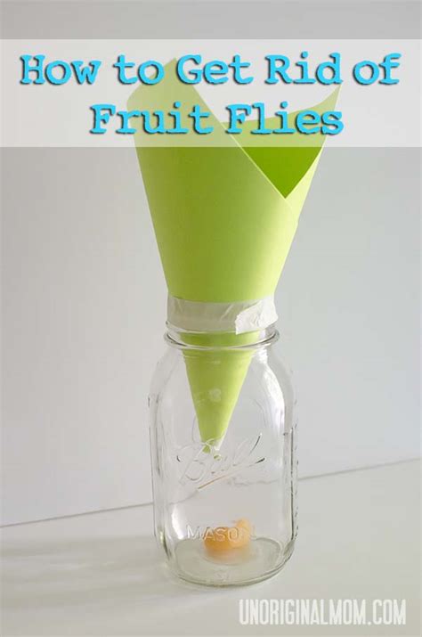 How to Get Rid of Fruit Flies - unOriginal Mom