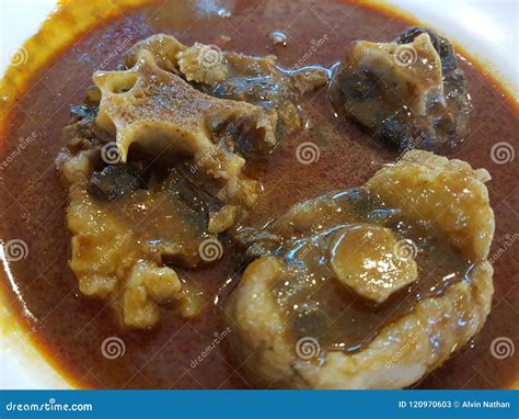 Ox tail soup stock image. Image of tail, soup, tenderloin - 120970603