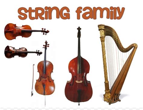 Family String Instruments Musical Instruments Orchestra Violin, PNG, 1502x1151px, Family, Bass ...