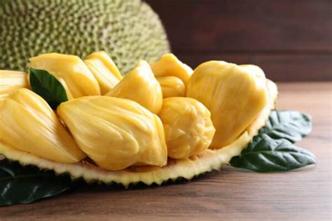 Growing Jackfruit Tree: Planting, Caring for and Using Jackfruits