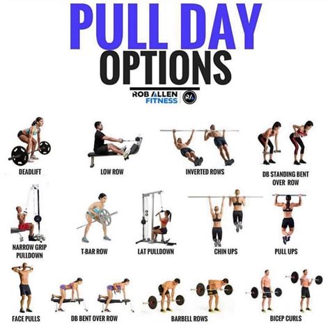 🏼PULL DAY 🏼 . Follow @roballenfitness for more fitness/nutrition info 🙏?… | Pull day workout ...