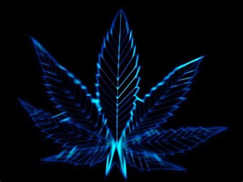 Neon Weed Wallpapers - Top Free Neon Weed Backgrounds - WallpaperAccess