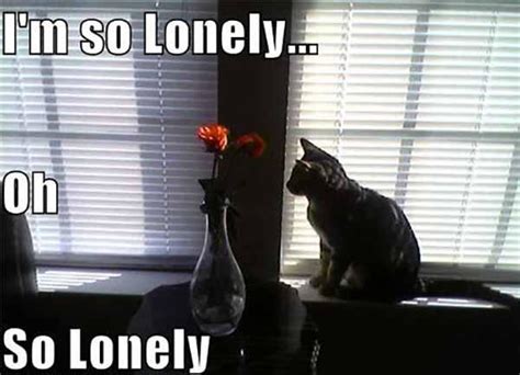 40 Lonely Meme To Help You Feel Better - Meme Central