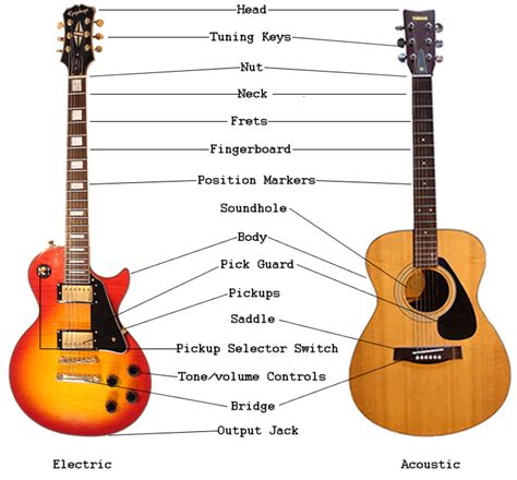 Guitar Anatomy - Parts of an Acoustic Guitar in English and Spanish