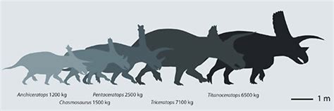 Titanoceratops - New Genus of Chasmosaurinae Dinosaur Discovered in a Scientific Paper