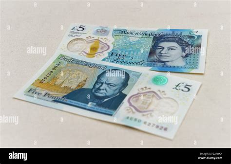 The new polymer £5 note featuring Sir Winston Churchill, is unveiled at Blenheim Palace in ...