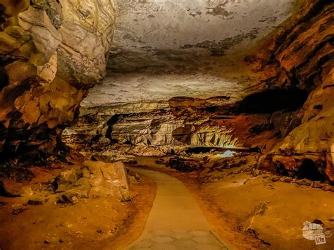 Planning a Visit to Mammoth Cave National Park