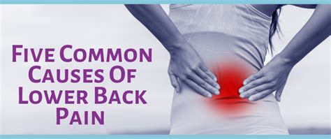 Five Common Causes of Lower Back Pain - Live Well Chiropractic Center