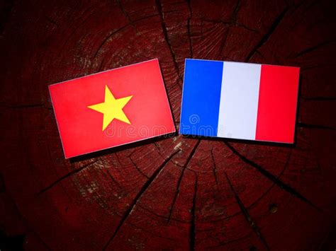 Vietnamese Flag with French Flag on a Tree Stump Isolated Stock Photo - Image of history ...