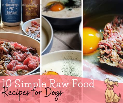 10 Simple Raw Food Recipes for Dogs