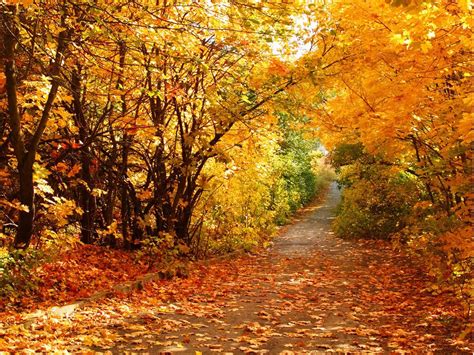 Beautiful Fall Computer Wallpaper - WallpaperSafari