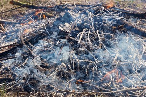 Burning fire with smoke stock image. Image of heap, branch - 145796207