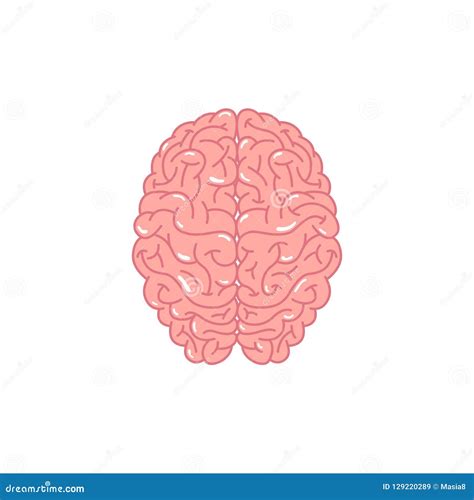 Ai Brain Vector Icon On White Background. Flat Vector Ai Brain Icon Symbol Sign From Modern ...