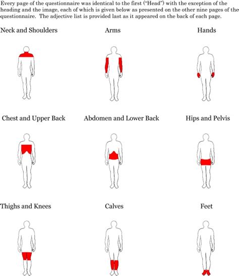 appendix symptoms back pain - ModernHeal.com