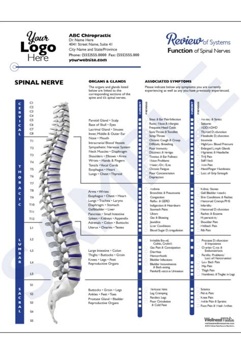 Spinal Nerve Function Intake Forms