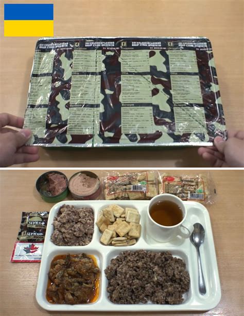 14 Military Food Rations From All Around The World | DeMilked