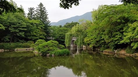 Bulguksa Temple : Gyeongju South Korea | Visions of Travel