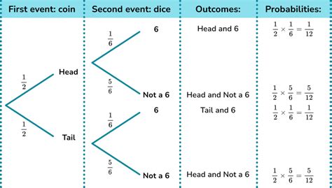 Probability Tree Diagram - GCSE Maths - Steps, Examples & Worksheet