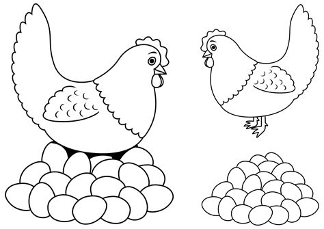 Hen and Eggs Line Art 14848162 Vector Art at Vecteezy