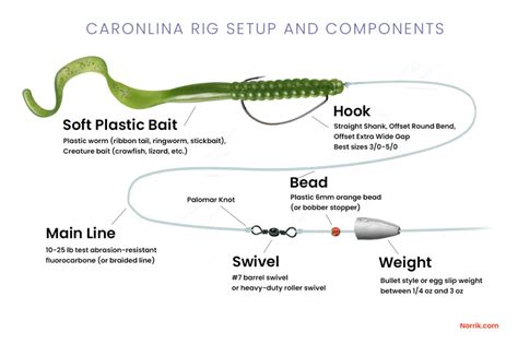 Carolina Rig for Bottom Fishing