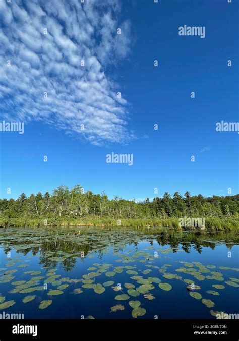 Calm Lake Water Reflection Stock Photo - Alamy