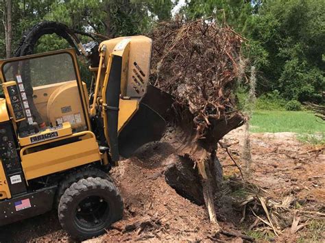 Tree Root Removal | Oakland, Winter Garden & Orlando, FL | Central Florida Stump Grinding