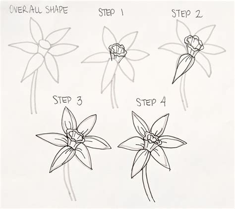 How To Draw A Flower Step By Step With Pictures