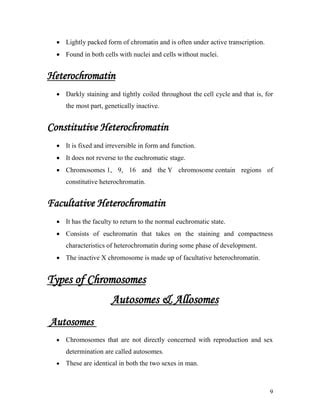 Chromosomes | PDF