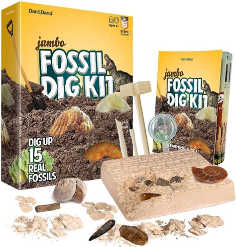 Mega Fossil Dig Kit - Dig Up 15 Real Fossils (Dinosaur Bones, Sharks, & More) | Fossil, Fossils ...