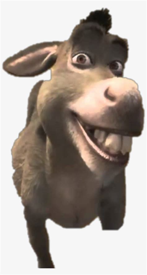 Donkey From Shrek Smiling Meme Today s disabled character of the day is donkey from the shrek ...