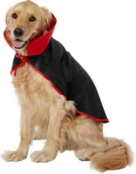 Scary Dog Costumes | The 12 Scariest Options for Your Spooky Pooch