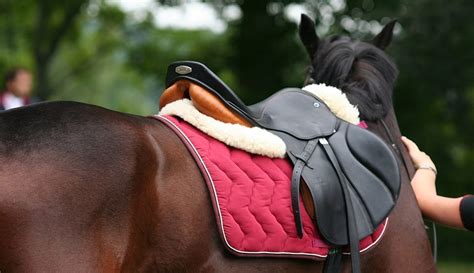 Horse Tack Supplies & Saddle Accessories - Next Day Delivery | Farm & Stable