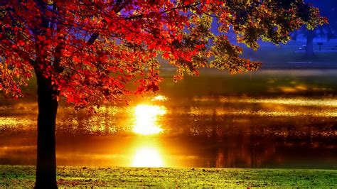 Autumn Trees Wallpaper (85+ images)