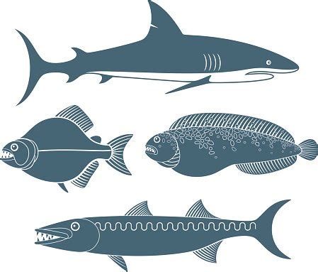 Predator Fish Stock Vector | Royalty-Free | FreeImages