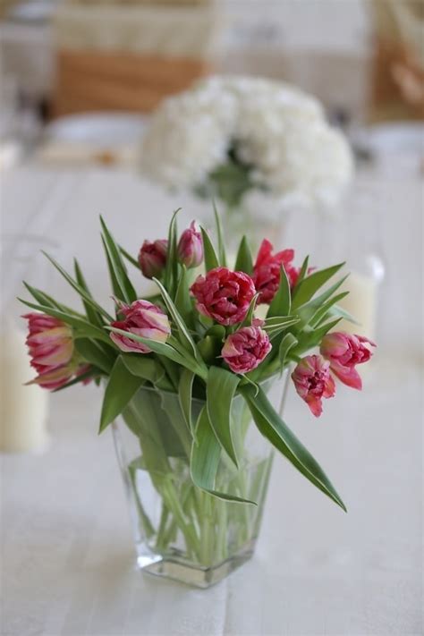 Free picture: silk, rose, white flower, flower bud, arrangement, detail, elegant, branch, shrub ...