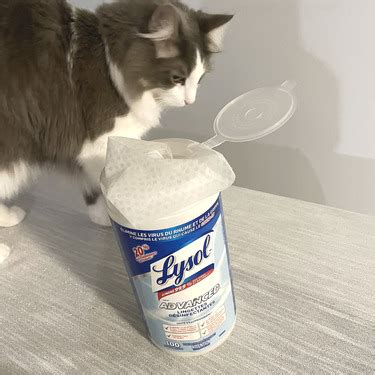 Lysol Advanced Disinfecting Wipes reviews in Cleaning Wipes - ChickAdvisor